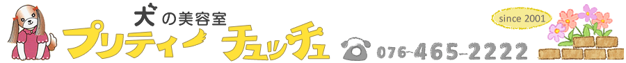 犬の美容室　プリティー・チュッチュ